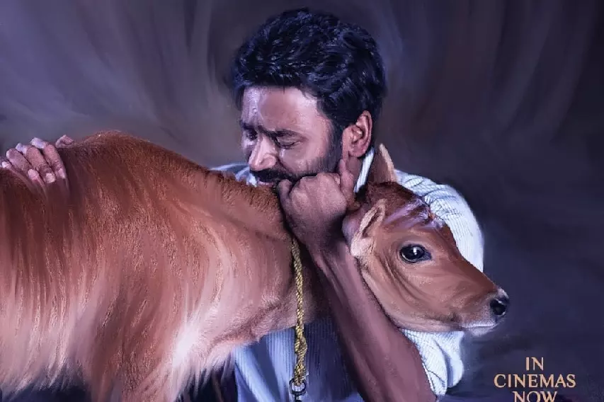 Dhanush ने गांव में इडली कढ़ाई की जीत का जश्न मनाया, दिया दावत Dhanush ने गांव में इडली कढ़ाई की जीत का जश्न मनाया, दिया दावत