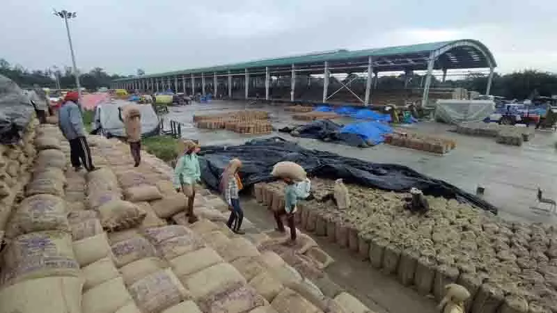 Chandigarh सेक्टर 39 अनाज मंडी में 1.12 लाख बोरी धान की आवक Chandigarh सेक्टर 39 अनाज मंडी में 1.12 लाख बोरी धान की आवक