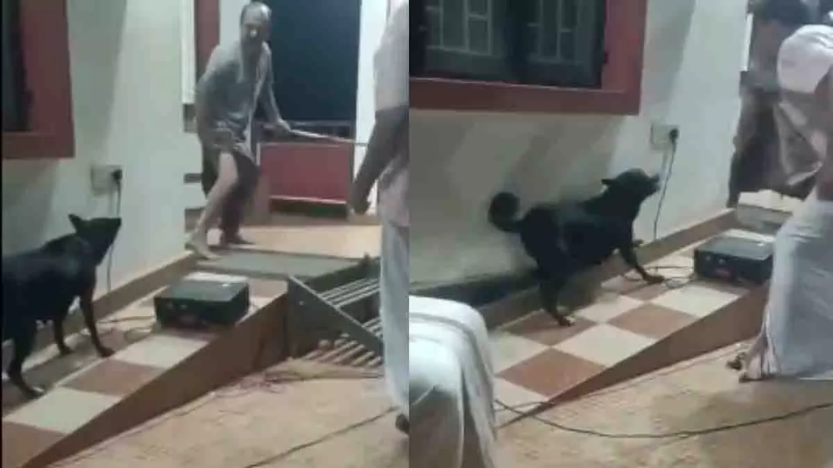 Kerala: लाइब्रेरी में जागरूकता नाटक के दौरान हादसा, कुत्ते ने अभिनेता को काटा Kerala: लाइब्रेरी में जागरूकता नाटक के दौरान हादसा, कुत्ते ने अभिनेता को काटा