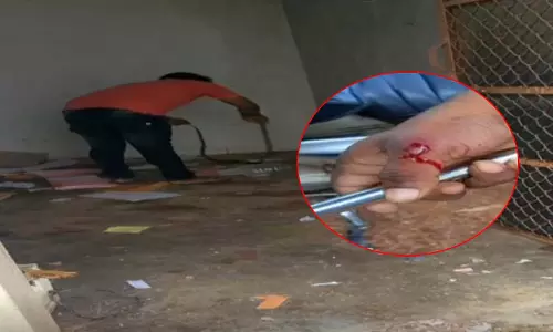 आखिरी रेस्क्यू...कोबरा ने ली सर्प मित्र की जान आखिरी रेस्क्यू...कोबरा ने ली सर्प मित्र की जान