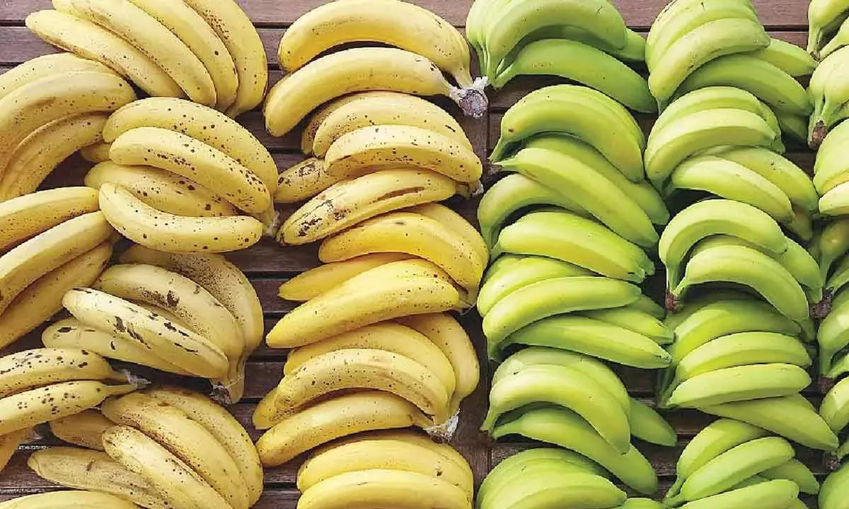Andhra: भारत में कृत्रिम फल पकाने का खतरा Andhra: भारत में कृत्रिम फल पकाने का खतरा