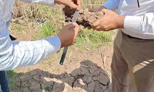 Punjab में बाढ़ से मिट्टी की संरचना बदली, कृषि उत्पादन प्रभावित होने की आशंका Punjab में बाढ़ से मिट्टी की संरचना बदली, कृषि उत्पादन प्रभावित होने की आशंका