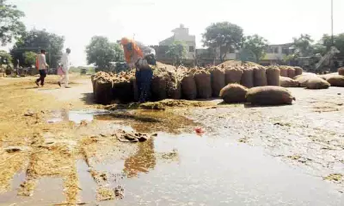 Punjab: बांधों में जलस्तर घटा, किसान भारी बारिश की आशंका से जूझ रहे Punjab: बांधों में जलस्तर घटा, किसान भारी बारिश की आशंका से जूझ रहे
