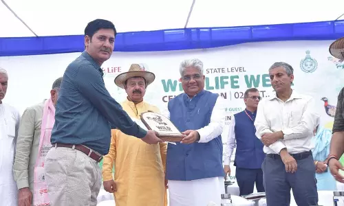 Haryana : वन मंत्री ने फतेहाबाद के कार्यकर्ता को वन्य जीव मित्र की उपाधि से सम्मानित किया Haryana : वन मंत्री ने फतेहाबाद के कार्यकर्ता को वन्य जीव मित्र की उपाधि से सम्मानित किया