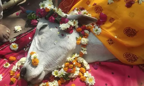 Farrukhabad: गौ रक्षा दल ने कराया गाय का अंतिम संस्कार, मौत सर्पदंश से Farrukhabad: गौ रक्षा दल ने कराया गाय का अंतिम संस्कार, मौत सर्पदंश से