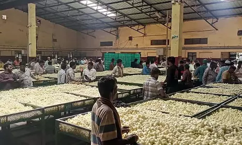 Shidalaghatta : रेशमकीट बाजार के राजस्व में गिरावट Shidalaghatta : रेशमकीट बाजार के राजस्व में गिरावट