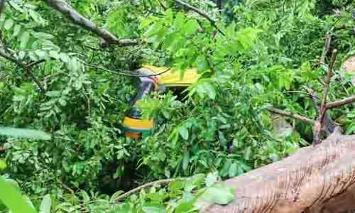 Bengaluru: हेसरघट्टा रोड पर पेड़ गिरने से स्कूटर पर सवार युवती की मौत Bengaluru: हेसरघट्टा रोड पर पेड़ गिरने से स्कूटर पर सवार युवती की मौत