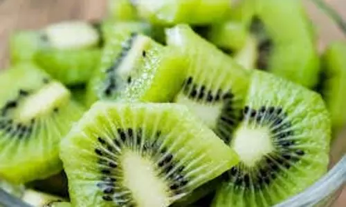Kiwi: अनेक स्वास्थ्य लाभों वाला एक सुपर फल Kiwi: अनेक स्वास्थ्य लाभों वाला एक सुपर फल