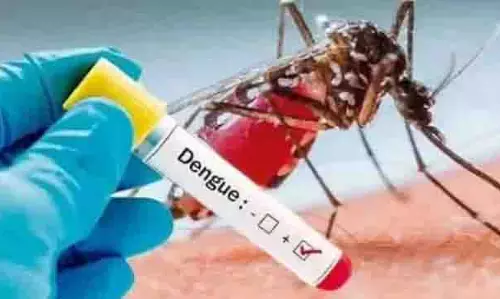 JAMMU: डेंगू के 89 नए मामलों के साथ, कुल मामले बढ़कर 1,316 हो गए
