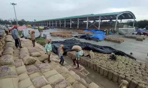 Chandigarh सेक्टर 39 अनाज मंडी में 1.12 लाख बोरी धान की आवक Chandigarh सेक्टर 39 अनाज मंडी में 1.12 लाख बोरी धान की आवक