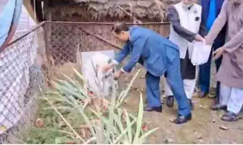 SRINAGAR: यौम-ए-मीरास के लिए सोपोर में सैकड़ों लोग एकत्रित हुए SRINAGAR: यौम-ए-मीरास के लिए सोपोर में सैकड़ों लोग एकत्रित हुए