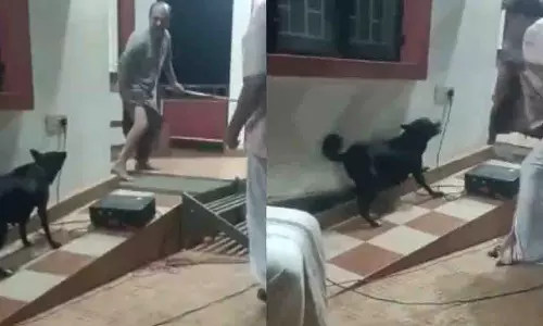 Kerala: लाइब्रेरी में जागरूकता नाटक के दौरान हादसा, कुत्ते ने अभिनेता को काटा