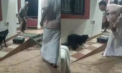 कुत्तों पर क्रूरता पर नुक्कड़ नाटक.. आवारा कुत्ते ने कलाकार को काटा