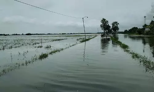 Chandrakona में पानी घुस रहा है, ज़मीन और सड़कें फिर डूबी Chandrakona में पानी घुस रहा है, ज़मीन और सड़कें फिर डूबी