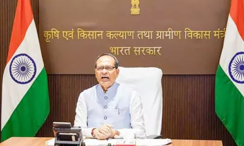 राजस्थान में अनार की फसलों पर टिकड़ी रोग का प्रकोप, शिवराज सिंह चौहान ने तत्काल जांच के दिए निर्देश