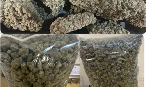 कस्टम्स की बड़ी कार्रवाई, 5.8 करोड़ के ड्रग्स के साथ तस्कर गिरफ्तार कस्टम्स की बड़ी कार्रवाई, 5.8 करोड़ के ड्रग्स के साथ तस्कर गिरफ्तार