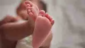 Rajasthan: लावारिस हालत में मिली नवजात बच्ची, ऐसे बची उसकी जान Rajasthan: लावारिस हालत में मिली नवजात बच्ची, ऐसे बची उसकी जान