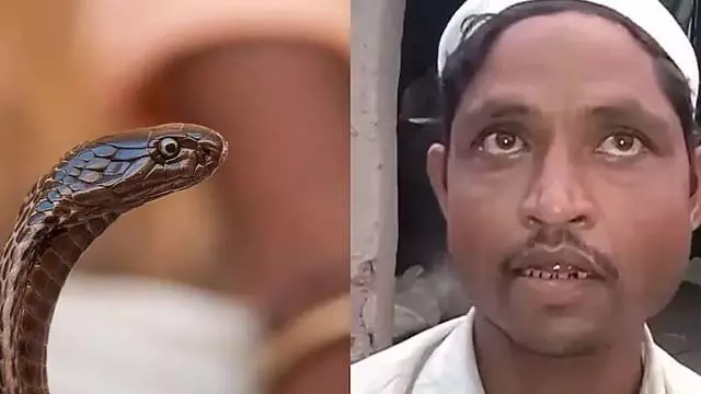 UP : रात में सांप की तरह काटने के लिए घूमती पत्नी, पति को अधिकारियों ने पकड़ा UP : रात में सांप की तरह काटने के लिए घूमती पत्नी, पति को अधिकारियों ने पकड़ा