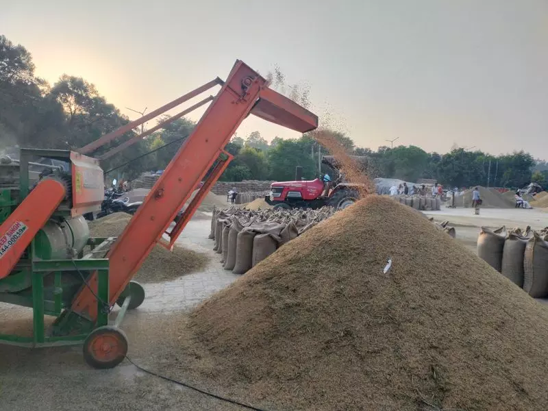 Haryana : अंबाला की अनाज मंडियों में धान के लिए जगह क्यों कम पड़ रही है Haryana : अंबाला की अनाज मंडियों में धान के लिए जगह क्यों कम पड़ रही है