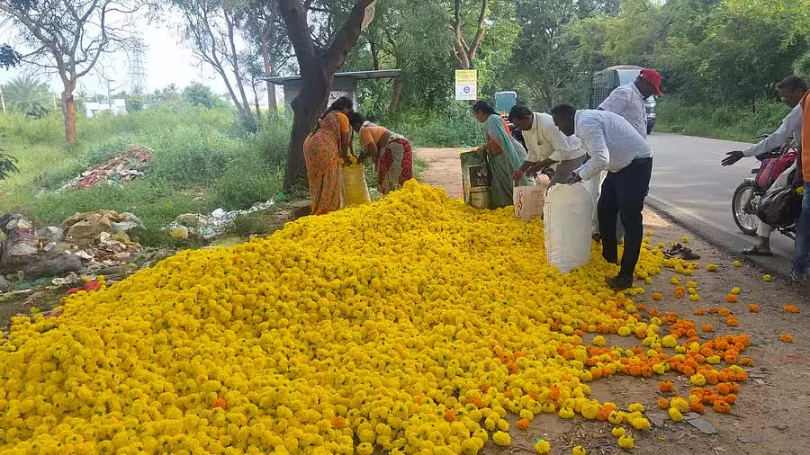 दामों में गिरावट: किसानों ने सड़क पर फूल बिछाए दामों में गिरावट: किसानों ने सड़क पर फूल बिछाए