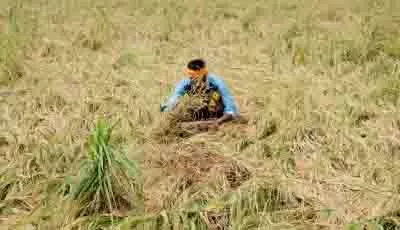 Punjab सरकार का बड़ा कदम, पराली से हरित हाइड्रोजन बनाने का समझौता Punjab सरकार का बड़ा कदम, पराली से हरित हाइड्रोजन बनाने का समझौता
