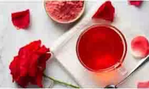 Skin Care: रात को सोने से पहले गुलाब जल के साथ लगाएं ये चीजें, चेहरे पर आएगा नेचुरल ग्लो Skin Care: रात को सोने से पहले गुलाब जल के साथ लगाएं ये चीजें, चेहरे पर आएगा नेचुरल ग्लो