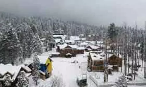 शुरुआती बर्फबारी से Gulmarg में रौनक, बसों की बुकिंग कम