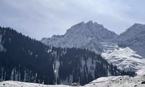 Kashmiri परिधान एक सीज़न के लिए हुए गायब