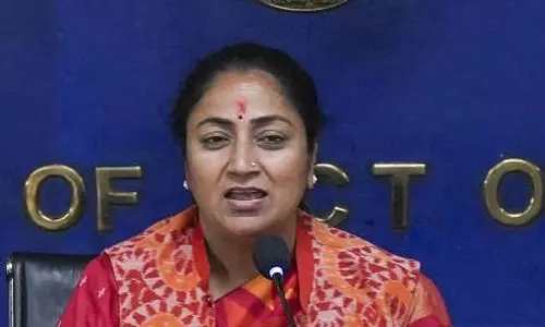 दिवाली के दौरान ग्रीन पटाखों पर प्रतिबंध हटाने के लिए सुप्रीम कोर्ट जाएगी दिल्ली सरकार: CM