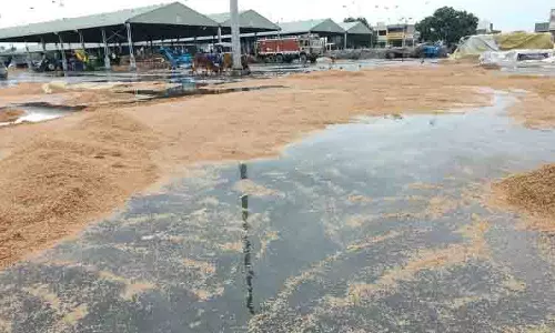 Punjab: तिरपाल न होने से खरीद का इंतजार कर रही धान की फसल भीग गई Punjab: तिरपाल न होने से खरीद का इंतजार कर रही धान की फसल भीग गई