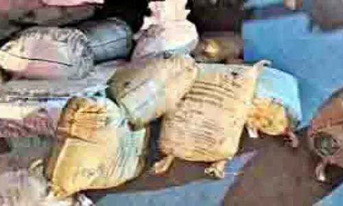 MP News: मावा माफिया के खिलाफ कार्रवाई, बस की छत पर मिला 10 क्विंटल संदिग्ध मावा, जब्त MP News: मावा माफिया के खिलाफ कार्रवाई, बस की छत पर मिला 10 क्विंटल संदिग्ध मावा, जब्त
