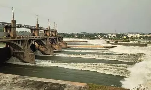 Tamil Nadu : कावेरी डेल्टा सिंचाई के लिए मेट्टूर बांध से छोड़े जाने वाले पानी की मात्रा में कमी