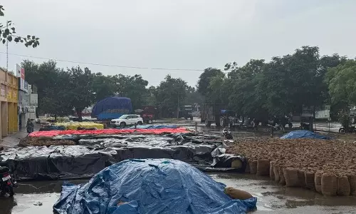 Haryana : बारिश से किसानों की परेशानी बढ़ी, भीगा धान और धीमी खरीद से संकट बढ़ा
