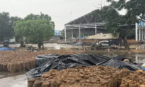 Haryana में बेमौसम बारिश से फसलों और अनाज को नुकसान, किसानों ने राहत की मांग की