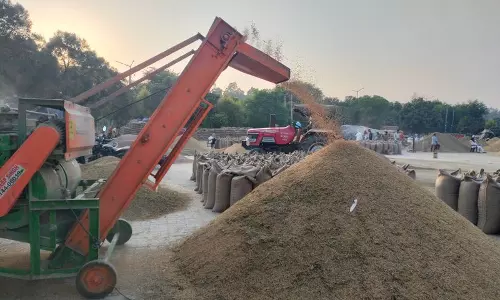 Haryana :  अंबाला की अनाज मंडियों में धान के लिए जगह क्यों कम पड़ रही है