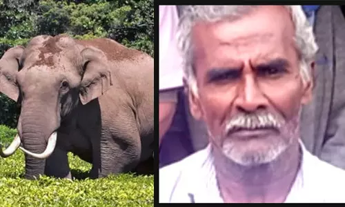 kerala: चक्काकोम्बन में हाथी के हमले में 62 वर्षीय व्यक्ति की मौत kerala: चक्काकोम्बन में हाथी के हमले में 62 वर्षीय व्यक्ति की मौत
