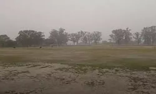 Bareilly: बारिश और ओलों से बदला मौसम, ठंडक का मज़ा Bareilly: बारिश और ओलों से बदला मौसम, ठंडक का मज़ा