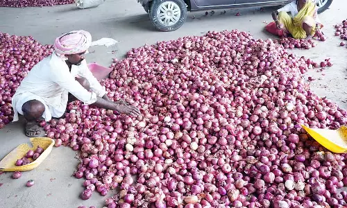 Raichur : भारी बारिश और गिरती कीमतों से किसान परेशान
