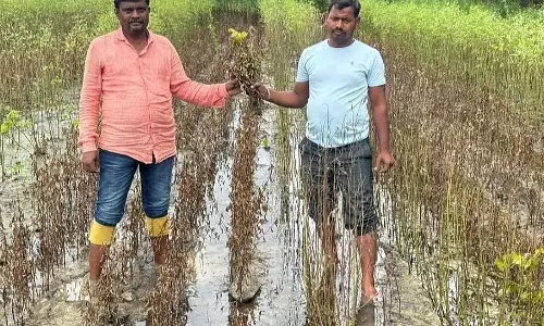 बारिश, बाढ़; किसानों को सरकारी राहत का इंतज़ार