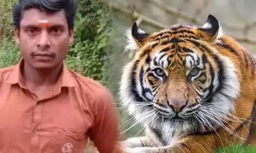 पथानामथिट्टा में बाघ के हमले में वन रक्षक की मौत
