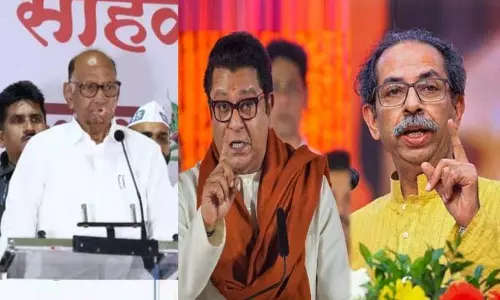 पवार ने MAVIA को चेतावनी दी: अगर ठाकरे बंधु एकजुट हुए तो अभी अलग हो जाओ
