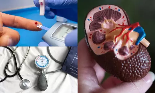 Diabetesऔर हाई ब्लड प्रेशर से तेजी से खराब होती है किडनी, जानिए कैसे बनते हैं ये बीमारियां धीमे ज़हर Diabetesऔर हाई ब्लड प्रेशर से तेजी से खराब होती है किडनी, जानिए कैसे बनते हैं ये बीमारियां धीमे ज़हर