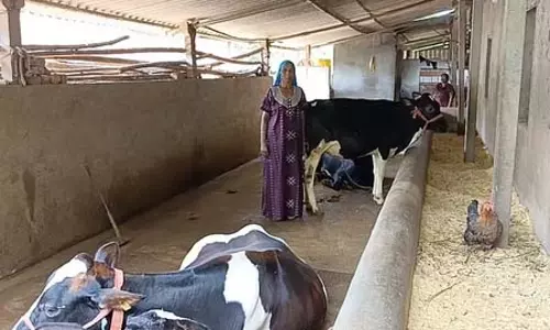 गुजरात: पशुपालन करके सशक्त बनीं डांग की महिलाएं