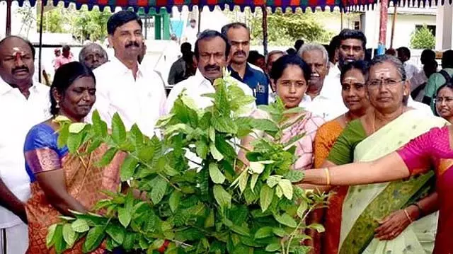 दुखद घटना में कानून अपना कर्तव्य निभाएगा: Minister S. Muthusamy दुखद घटना में कानून अपना कर्तव्य निभाएगा: Minister S. Muthusamy