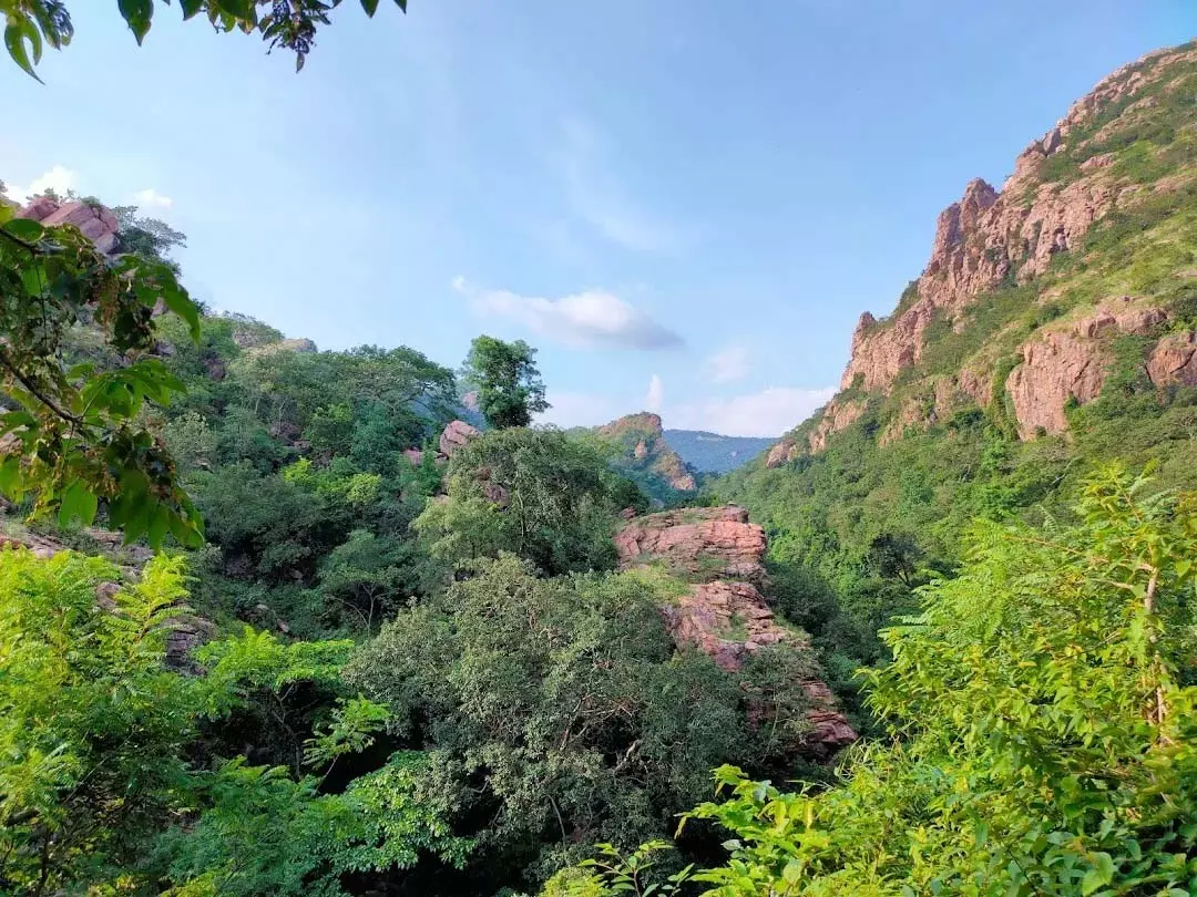 दमउदहरा : प्रकृति, आस्था और इतिहास का अद्भुत संगम दमउदहरा : प्रकृति, आस्था और इतिहास का अद्भुत संगम