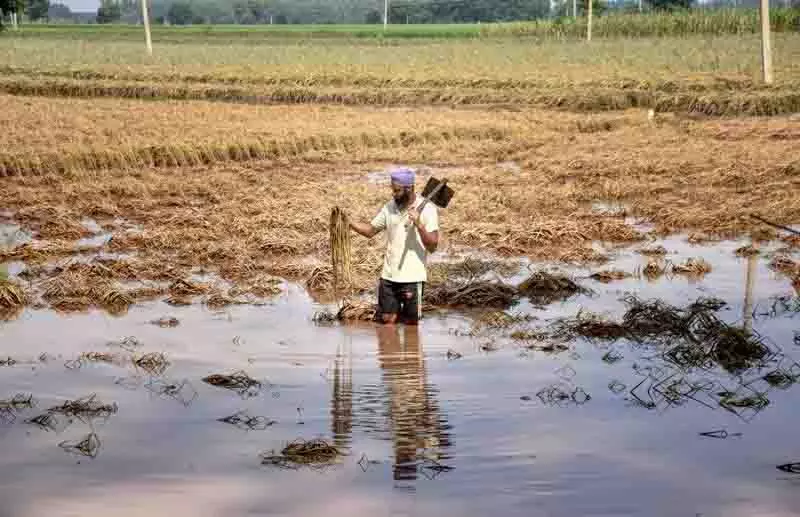 Punjab: केंद्र से बाढ़ सहायता के लिए ज्ञापन को अभी अंतिम रूप दिया जाना बाकी Punjab: केंद्र से बाढ़ सहायता के लिए ज्ञापन को अभी अंतिम रूप दिया जाना बाकी