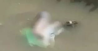 नाले में नवजात का शव मिला, सीसीटीवी की जांच कर रही पुलिस नाले में नवजात का शव मिला, सीसीटीवी की जांच कर रही पुलिस