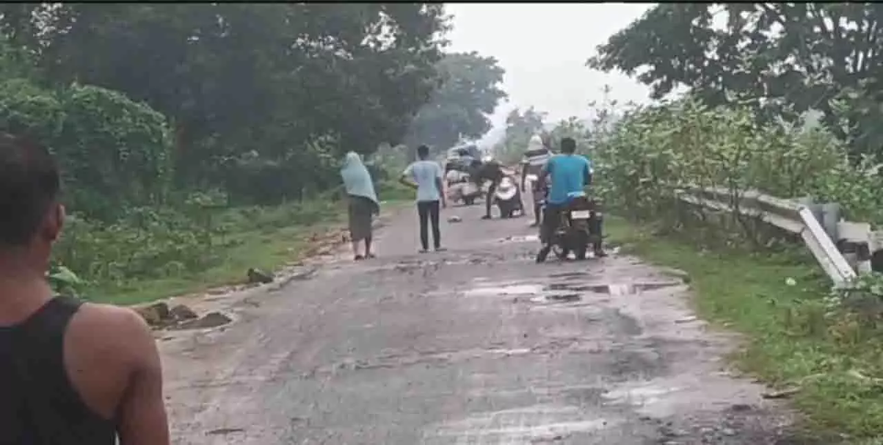 Dhenkanal के बसुलेई गांव में मधुमक्खियों के हमले में 7 लोग घायल Dhenkanal के बसुलेई गांव में मधुमक्खियों के हमले में 7 लोग घायल