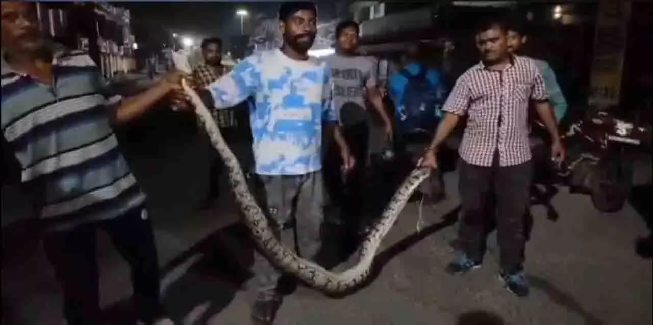Odisha: सोनपुर में नाले से 17 फुट लंबा अजगर बचाया गया Odisha: सोनपुर में नाले से 17 फुट लंबा अजगर बचाया गया