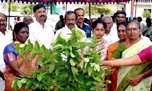 दुखद घटना में कानून अपना कर्तव्य निभाएगा: Minister S. Muthusamy